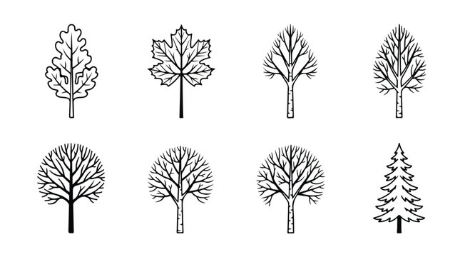 A variety of different types of trees and their unique shapes and structures Vector