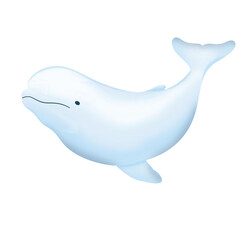 Beluga illustration