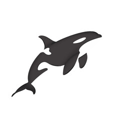 Orca Illustration