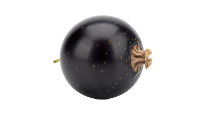 Blackcurrant berry png fresh berries png fruit food png black currant png isolated fruit png transparent background image