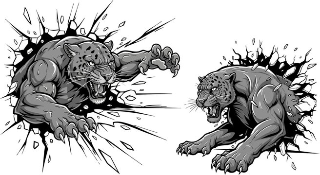 Aggressive vector jaguar or leopard breaking through a wall