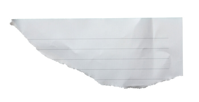 Torn lined notebook paper sheet