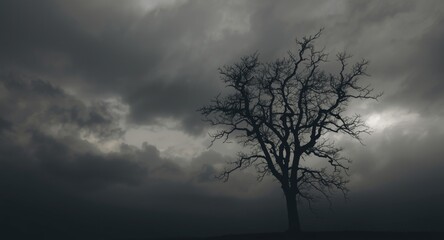 Shadow of a stark tree against a dramatic overcast sky with white clouds symbolizing sadness and calm
