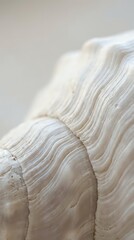 Close-up macro view of natural wood grain texture with flowing curved lines and organic patterns in warm beige and cream tones for interior design projects.