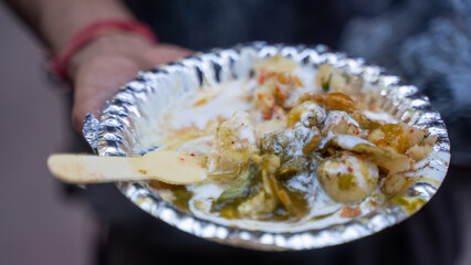 Traditional Indian Chaat Street Food Served in Plate
