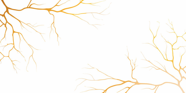 Golden cracks spreading across a bright white background abstract design