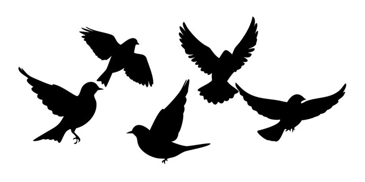 Black silhouette of five sparrows in flight birds flying birds transparent background