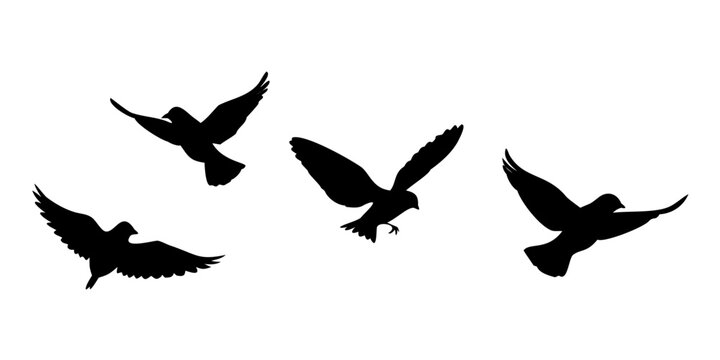 Black silhouette sparrows flying birds