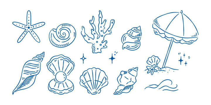 Nautical seashell and coral collection. Coastal beach elements in blue line art for bachelorette trip decor.