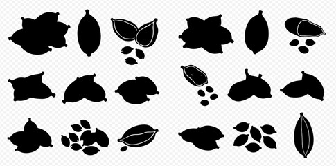 Fototapeta premium Cardamom pods and seeds in silhouette, a collection of spice elements for culinary and aromatic uses.
