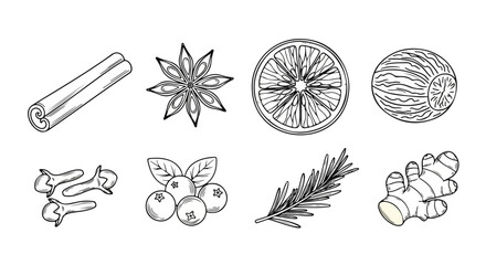 A detailed illustration of various herbs, spices, and plants Vector © rohan