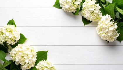 白い板壁とアジサイ