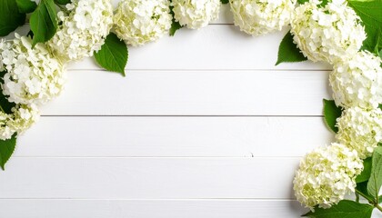 白い板壁とアジサイ