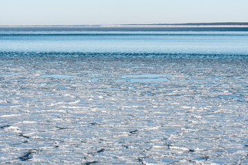 Obraz premium Calm winter sea dotted with floating ice floes under a pale sky
