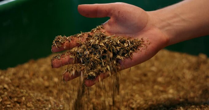 Hand pouring dry chopped plant material in close up