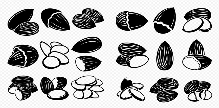 Almond nuts vector set, whole, shelled, and sliced almonds in black and white illustration.
