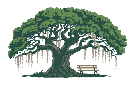 Old Oak Tree Illustration majestic Spanish moss tree with bench, peaceful park setting vector