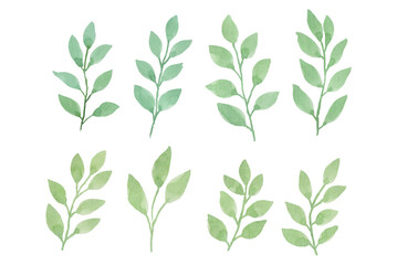 Assortment of watercolor leaves illustration set - green leaf branches collection for wedding, greetings, stationary, wallpapers, fashion, background. olive, green leaves, Eucalyptus etc
