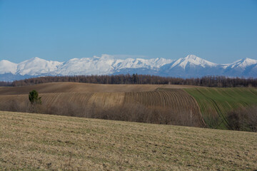 春の丘陵畑作地帯と雪山　十勝岳
