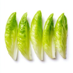 Fresh Green Romaine Lettuce Leaves Arranged in a Line on White Background for Healthy Eating and Culinary Use