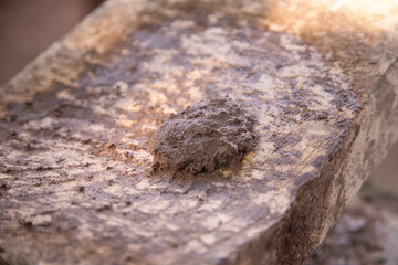 Fototapeta premium Preparing Mexican black recado on a traditional metate in the Yucatan Peninsula. A paste of spices and chilies used in Yucatecan cuisine.
