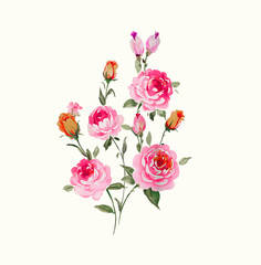 Obraz premium Isolated watercolour style flowers for multipurpose use