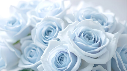 Celestial Roses: A captivating array of soft, pale blue roses, exuding a sense of delicate beauty and serenity, their petals meticulously captured to showcase their exquisite form.