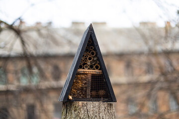 Insect Hotel Wigwam © erika8213