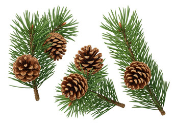 Pine cones adorn green pine branches against a dark background