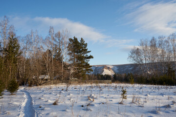 Snowy winter path through birch and pine forest leading to distant rocky hills under blue sky.