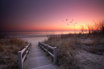 morning light on the Baltic Sea beach in the dunes © Jenny Sturm