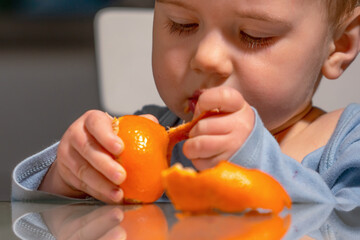 Realistic family lifestyle image of toddler eating fruit.