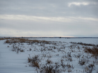 トドワラへ向かう道