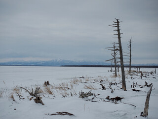 野付半島のトドワラ