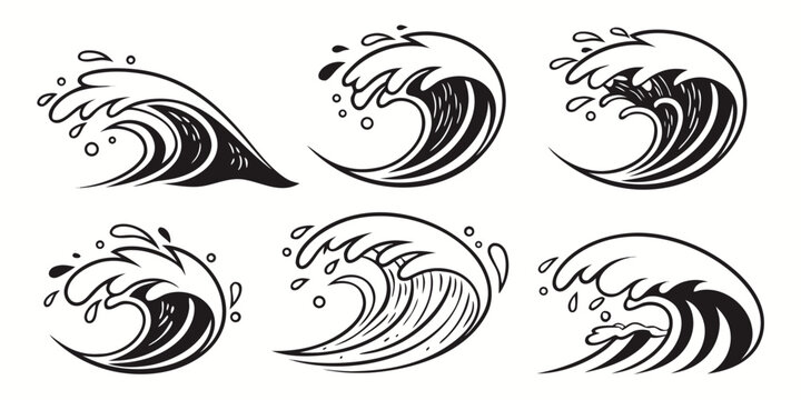 Intricate black and white illustration of various seashells and mollusks Vector