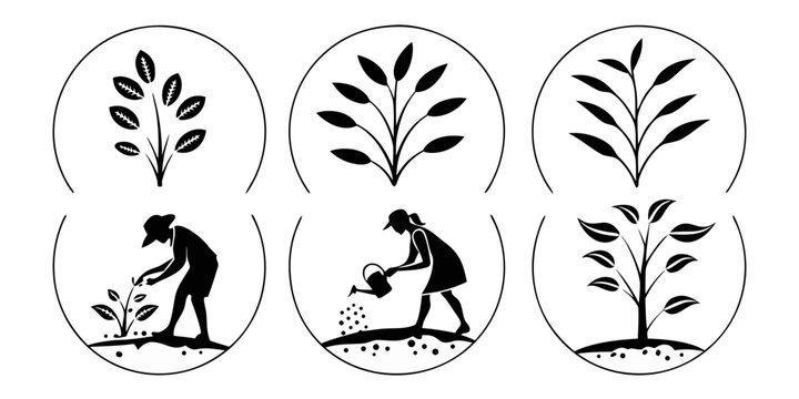 A visual representation of the stages of plant growth and human interaction Vector