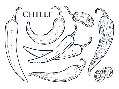 Line art illustrations of chili peppers in various styles. Vector illustrations of black chili peppers, separate from the background, editable, suitable for teaching purposes.