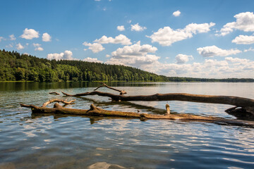Hańcza, najgłębsze jezioro w Polsce © Art L