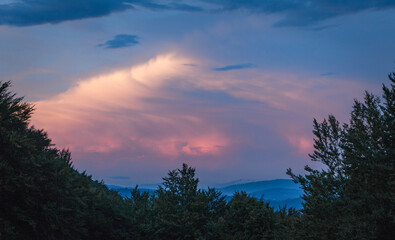 Fototapeta premium Sunset Sky over Beech Forest Silhouettes in the Carpathians