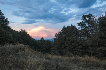 Sunset Sky over Beech Forest Silhouettes in the Carpathians