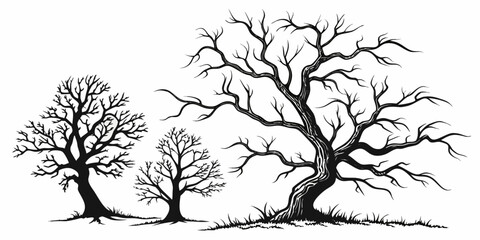 Obraz premium Three bare trees standing in a row with intricate branches against a plain background Vector