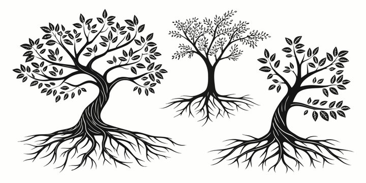 Three distinct trees with intertwined roots and branches in a symmetrical pattern. Vector