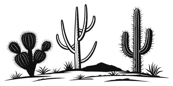 Three cacti and a tumbleweed in a desert landscape Vector
