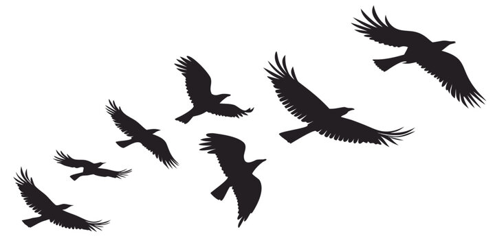 A flock of birds flying in a v-formation against a white background Vector