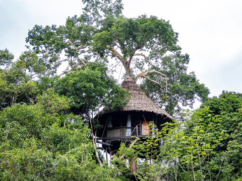 Ecotourism lodge deep within the Pacaya Samiria Preserve, Peru