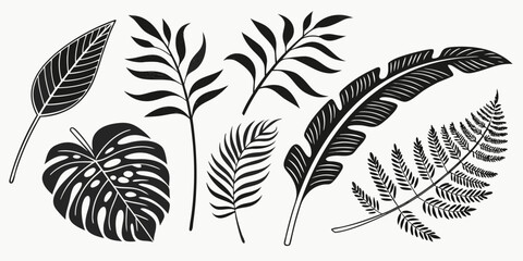 A detailed illustration of various tropical leaves and ferns in black and white Vector © rabi