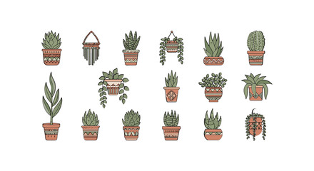 Variety of Potted Houseplants and Succulents 5.