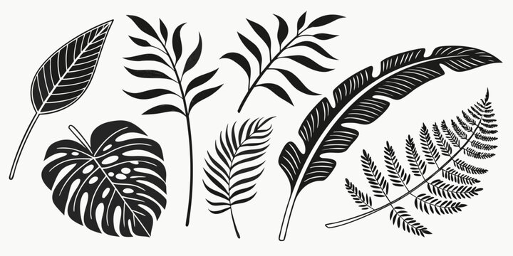 A detailed illustration of various tropical leaves and ferns in black and white Vector