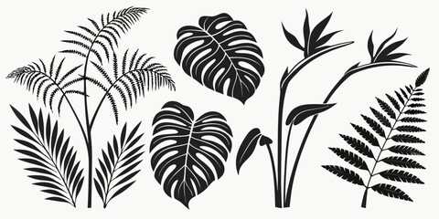 A detailed illustration of various types of leaves and ferns in black and white Vector © rabi