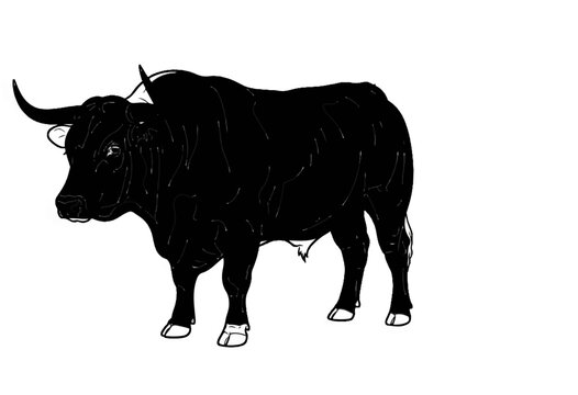 A black bull stands stoically against a plain white background, its powerful form depicted